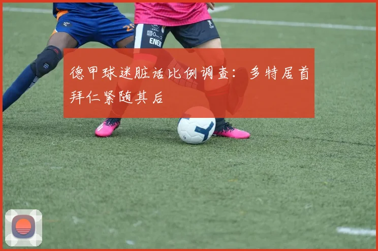 德甲球迷脏话比例调查：多特居首拜仁紧随其后