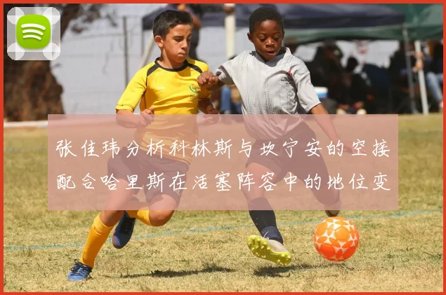 张佳玮分析科林斯与坎宁安的空接配合哈里斯在活塞阵容中的地位变化