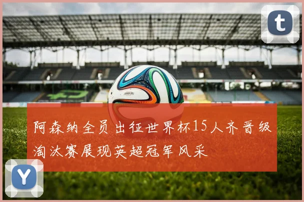 阿森纳全员出征世界杯15人齐晋级淘汰赛展现英超冠军风采